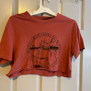 Levi’s Santa Cruz surfing crop top